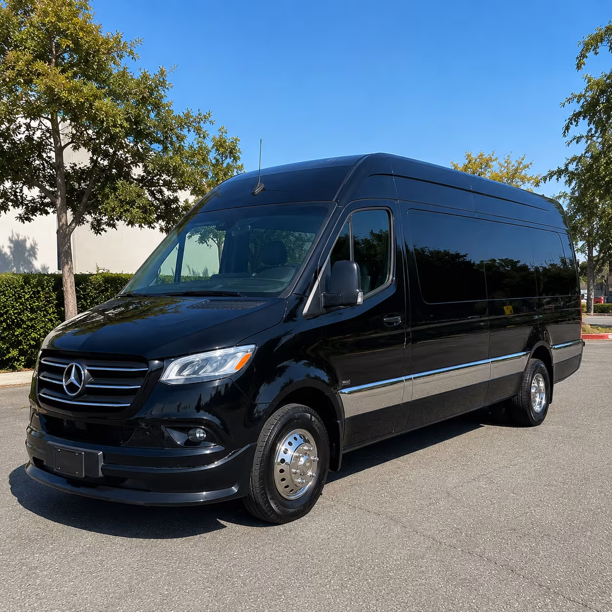 richmond sprinter limousine